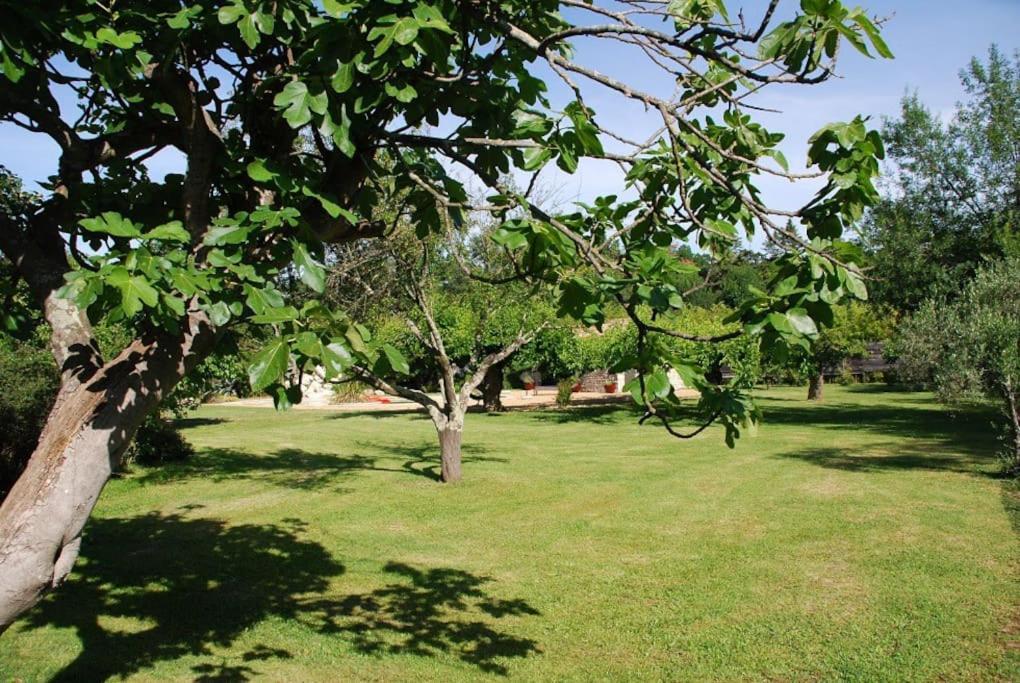 Gite De Charme 80 M², Piscine, Proche D'Uzes. Vezenobres Kültér fotó