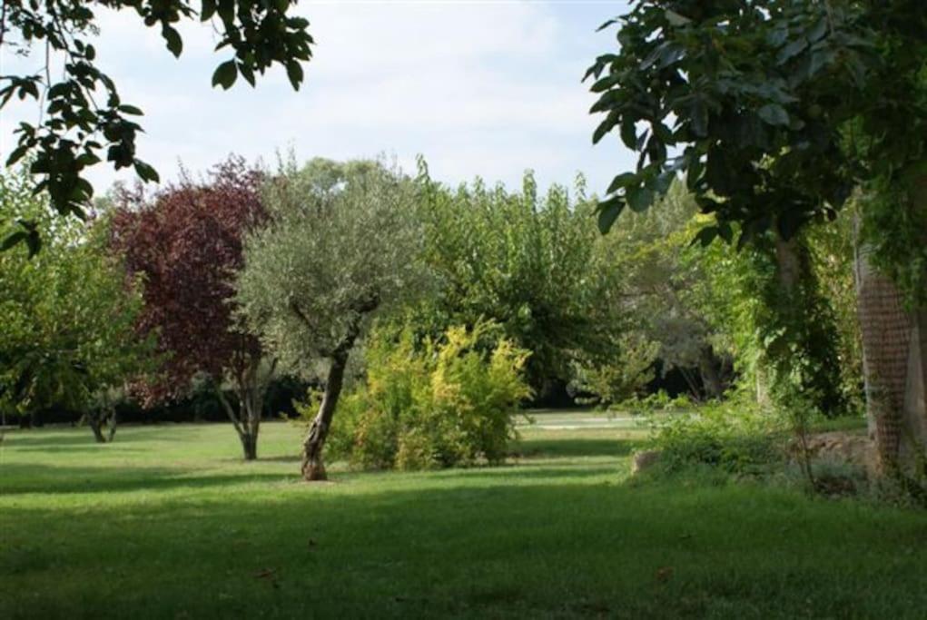 Gite De Charme 80 M², Piscine, Proche D'Uzes. Vezenobres Kültér fotó