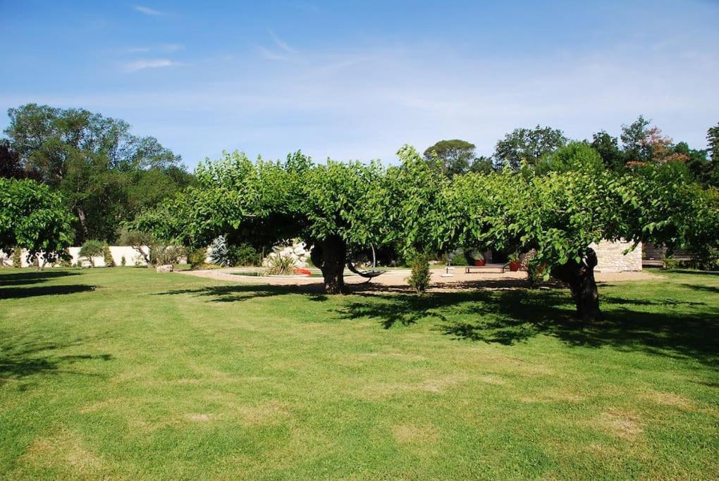 Gite De Charme 80 M², Piscine, Proche D'Uzes. Vezenobres Kültér fotó